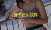 自律石头软件